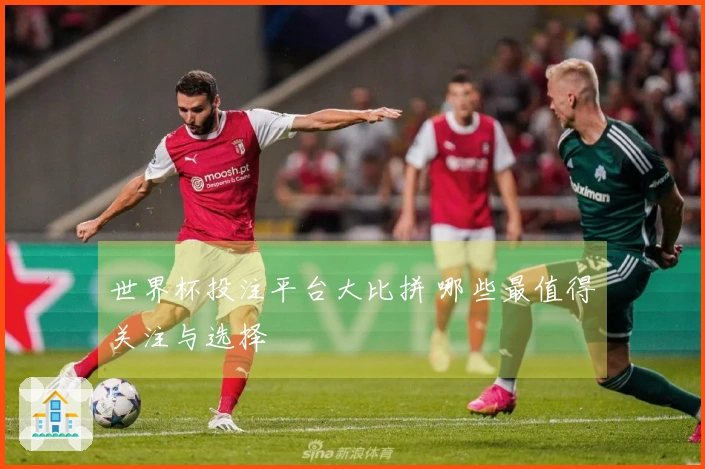 世界杯投注平台大比拼 哪些最值得关注与选择