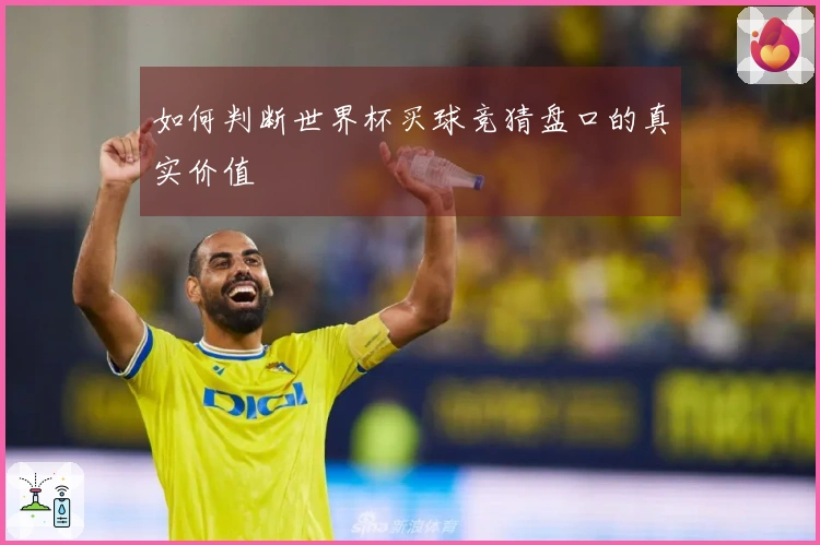 如何判断世界杯买球竞猜盘口的真实价值