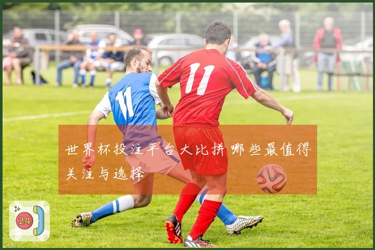 世界杯投注平台大比拼 哪些最值得关注与选择