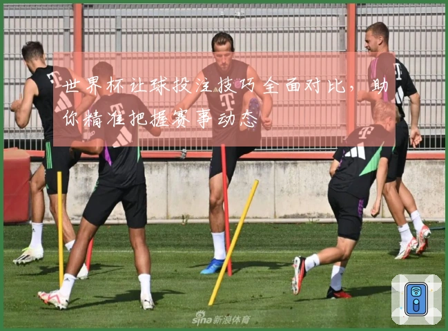 世界杯让球投注技巧全面对比，助你精准把握赛事动态