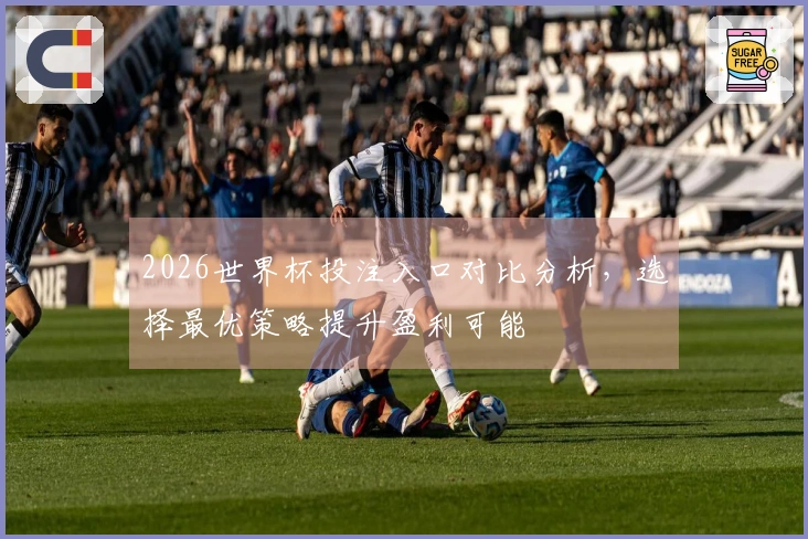 2026世界杯投注入口对比分析，选择最优策略提升盈利可能
