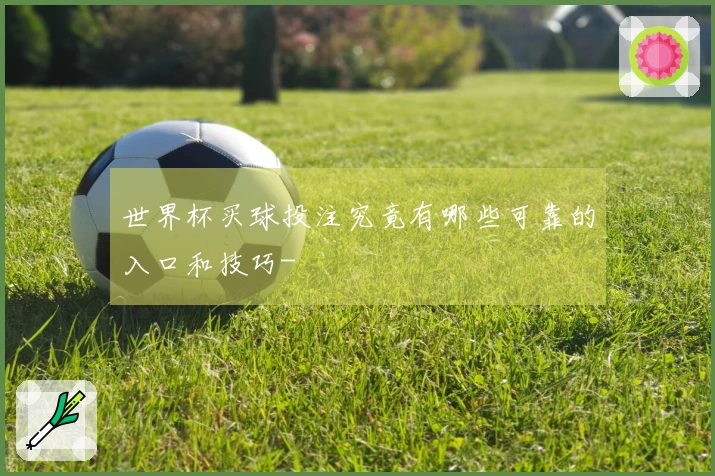 世界杯买球投注究竟有哪些可靠的入口和技巧-