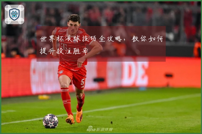 世界杯滚球技巧全攻略，教你如何提升投注胜率