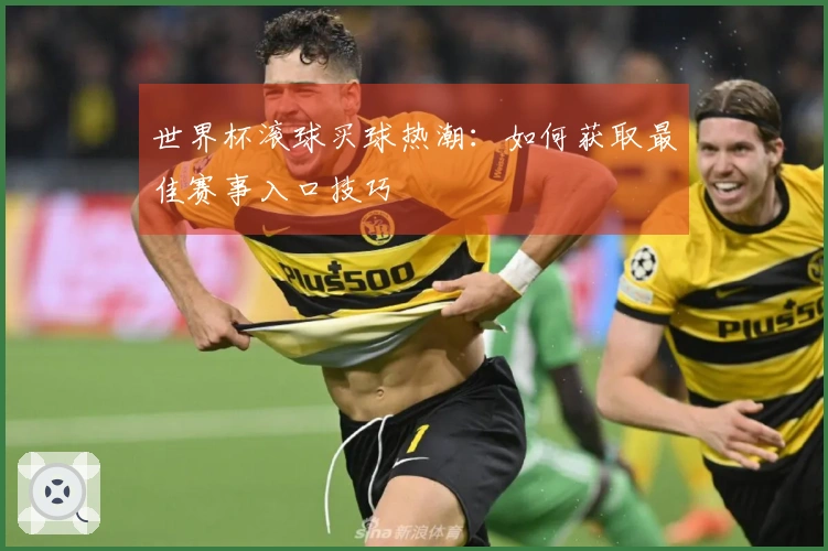世界杯滚球买球热潮：如何获取最佳赛事入口技巧