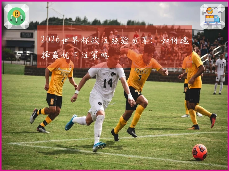2026世界杯投注经验分享：如何选择最优下注策略