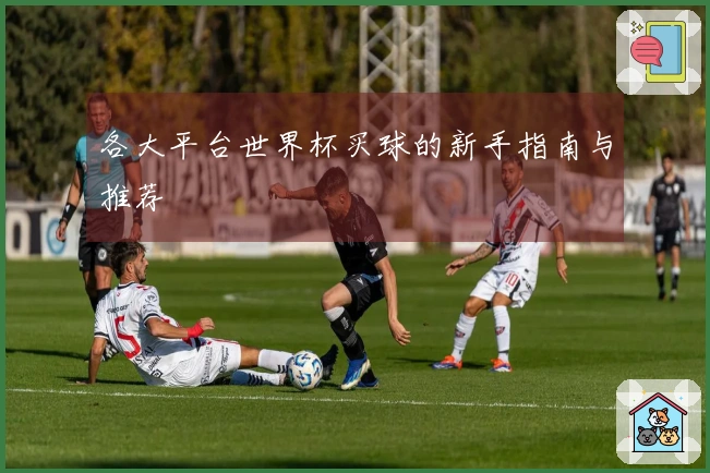 各大平台世界杯买球的新手指南与推荐