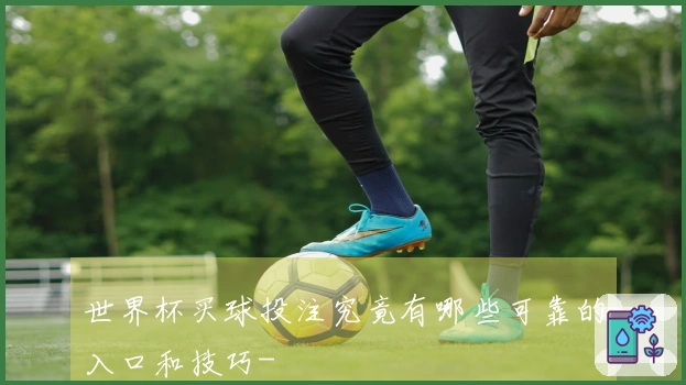 世界杯买球投注究竟有哪些可靠的入口和技巧-