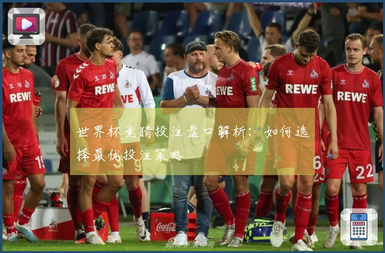 世界杯竞猜投注盘口解析：如何选择最优投注策略