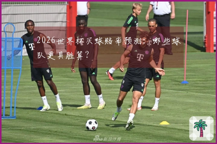 2026世界杯买球赔率预测：哪些球队更具胜算？