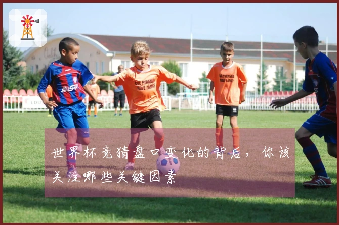 世界杯竞猜盘口变化的背后，你该关注哪些关键因素