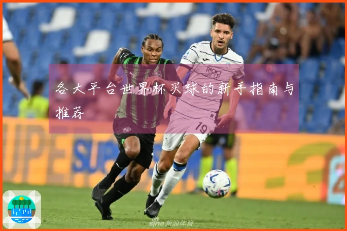 各大平台世界杯买球的新手指南与推荐