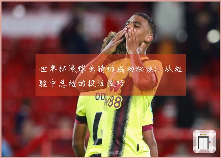 世界杯滚球竞猜的成功秘诀：从经验中总结的投注技巧